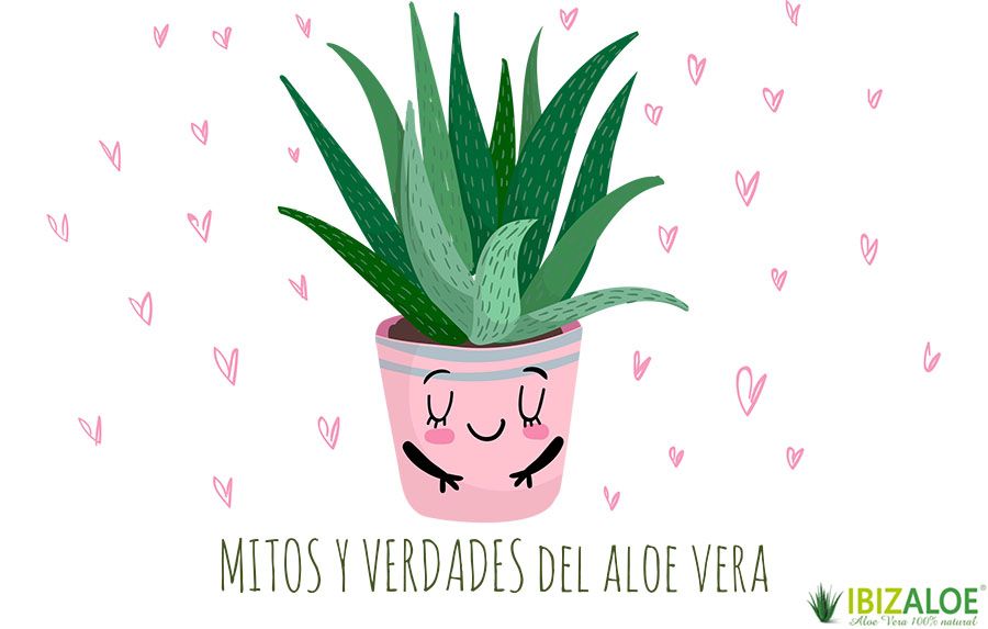 mitos y verdades sobre el Aloe vera