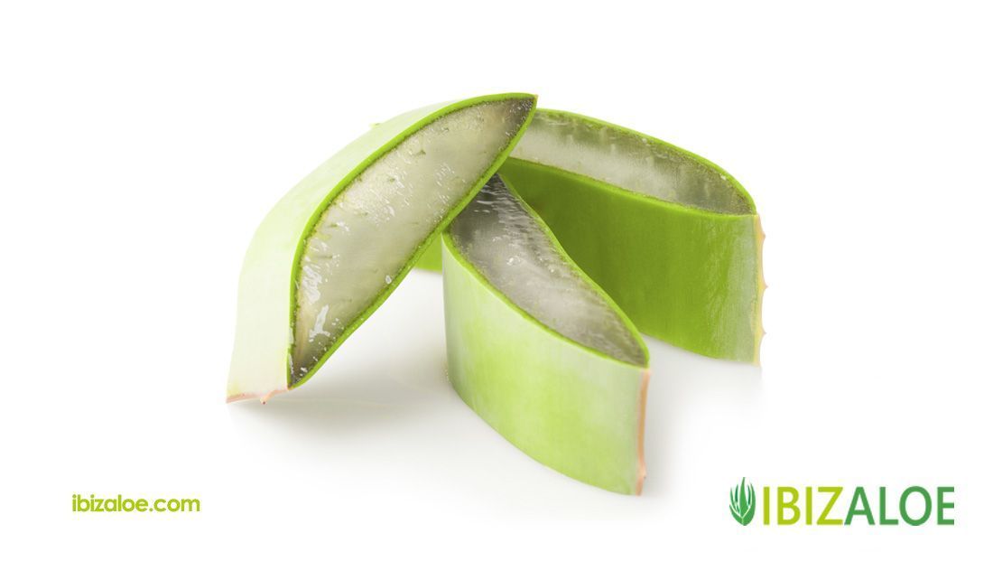 venta aloe vera