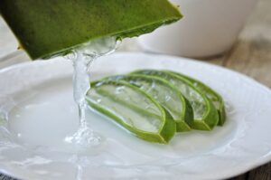 Aloe vera para las verrugas