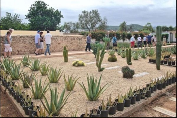 Museo aloe vera ibiza exterior