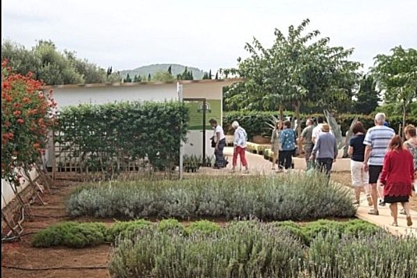 Visita museo aloe vera ibiza