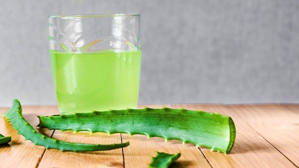 Aloe Vera: Beneficios y Contraindicaciones