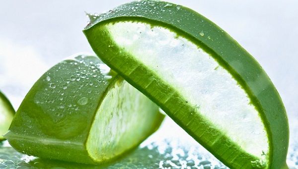 Alimentos con Aloe Vera