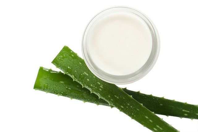 hacer-crema-de-aloe-vera